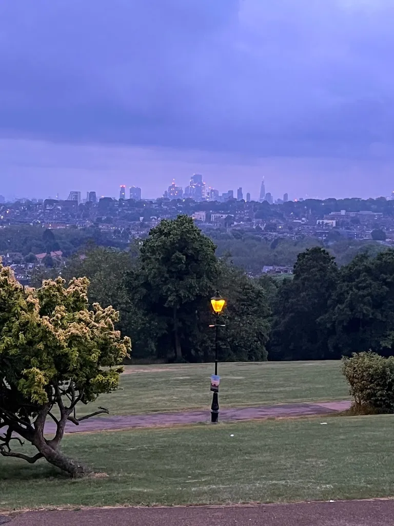 Alexandra Palace Ice Rink (Stop P)