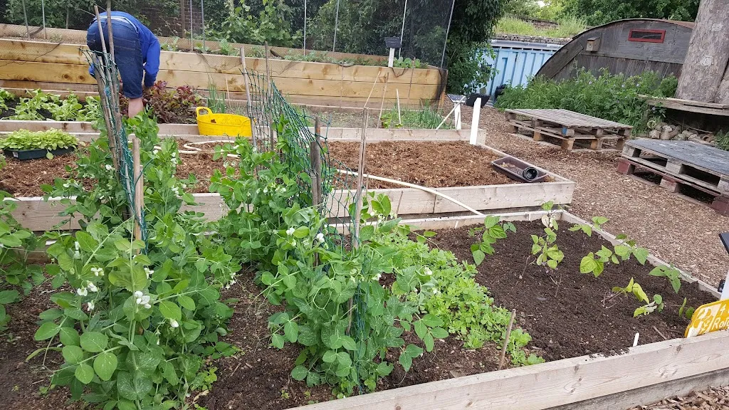 Brixton Water Lane (Stop V)