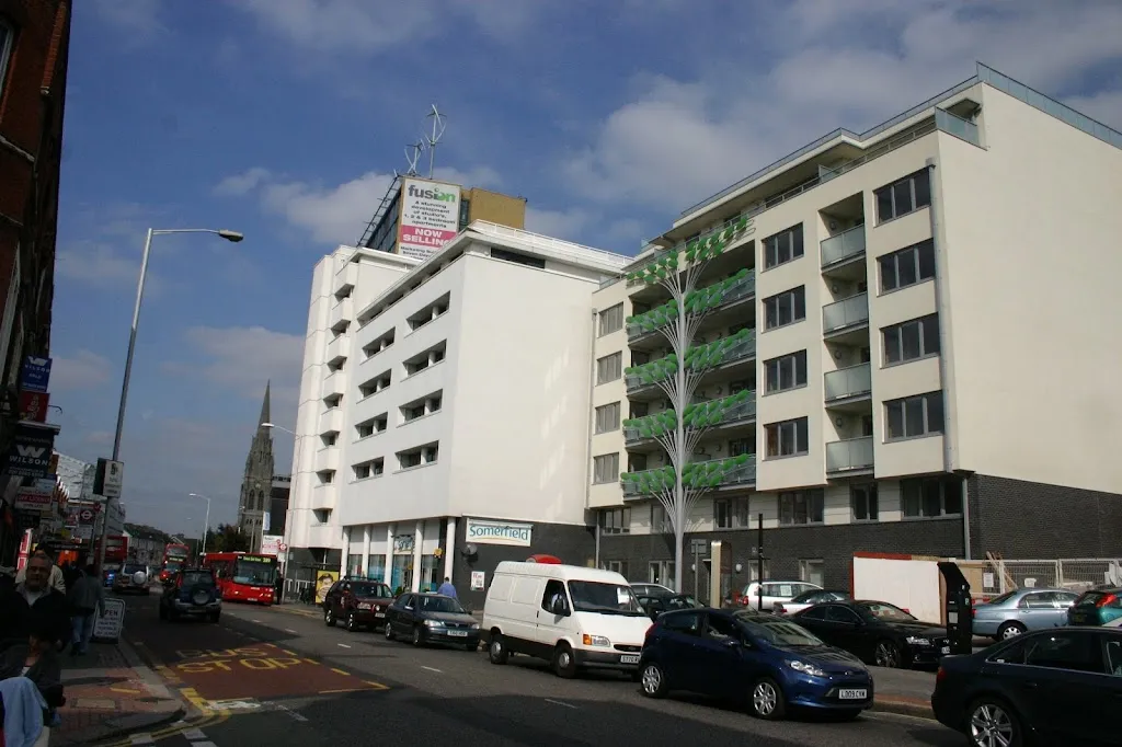 Broad Green Avenue (Stop LF)