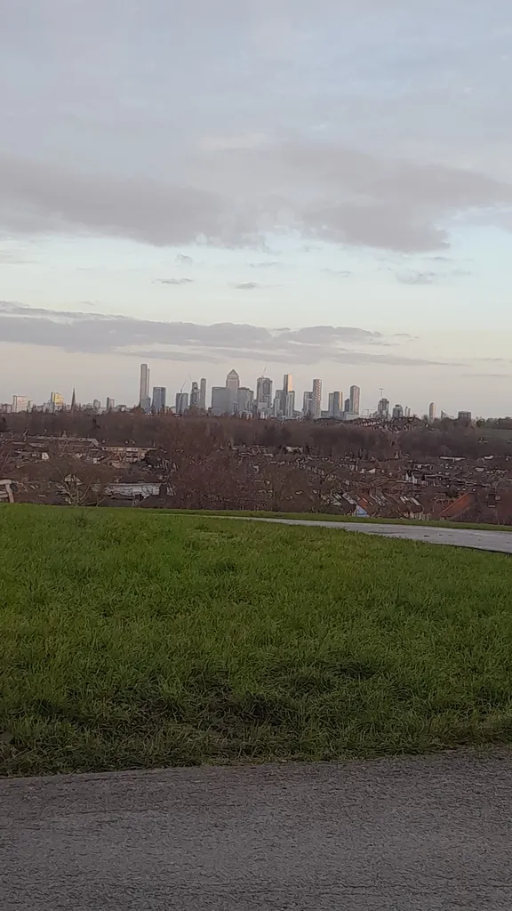 Brockley Rise / Cranston Road (Stop C)