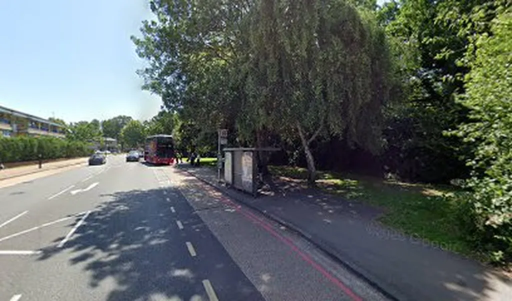 Bromley Common / The Crown (Stop BU)