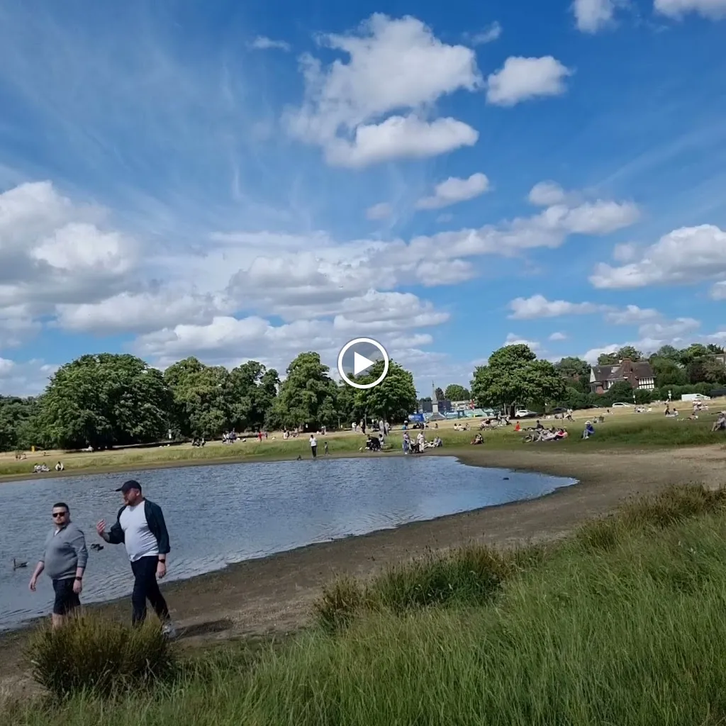 Calonne Road (Stop T)