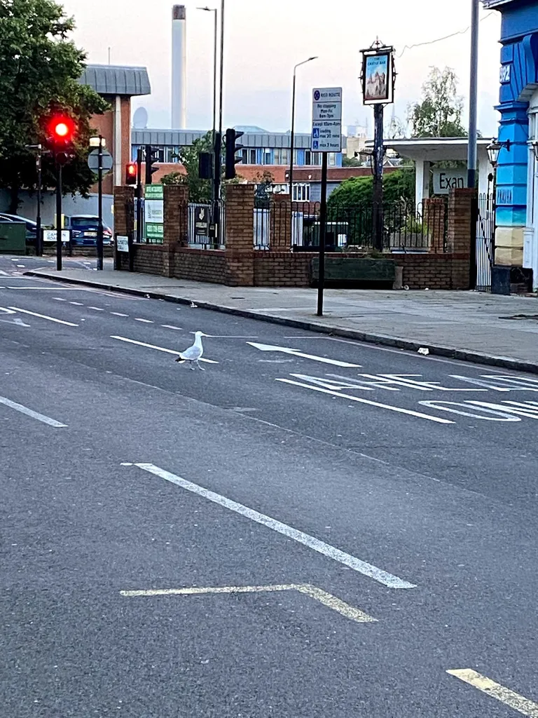 Camden Road (Stop G)