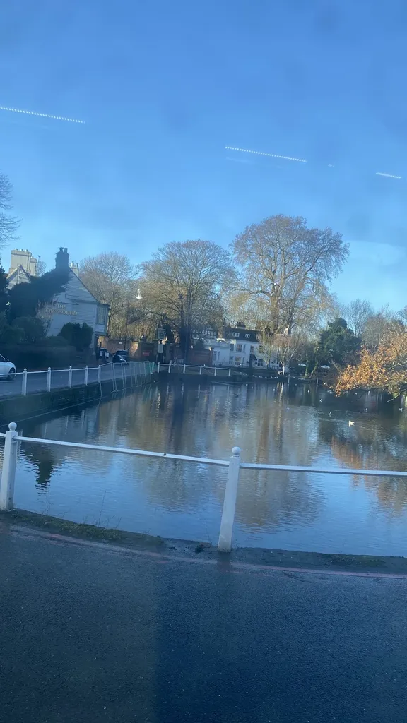 Carshalton Ponds (Stop C)