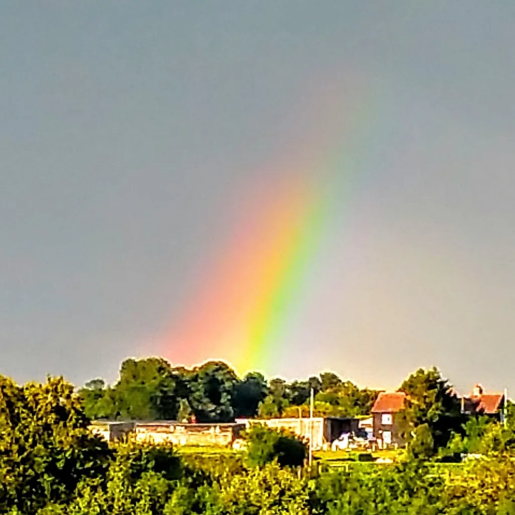 Carshalton Road / Ringstead Road