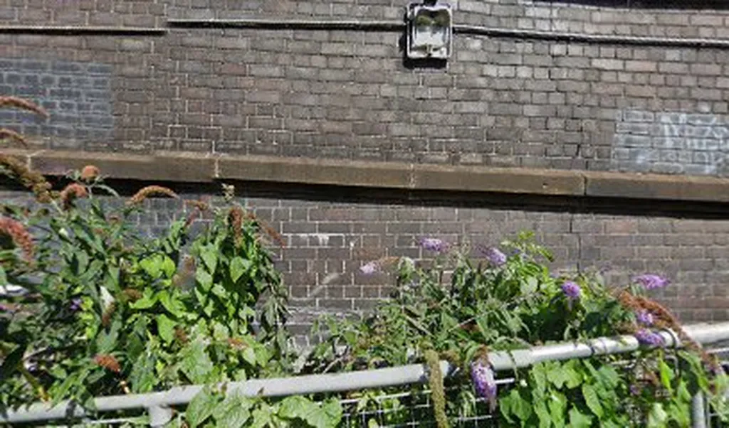 Catford & Catford Bridge Stations (Stop M)