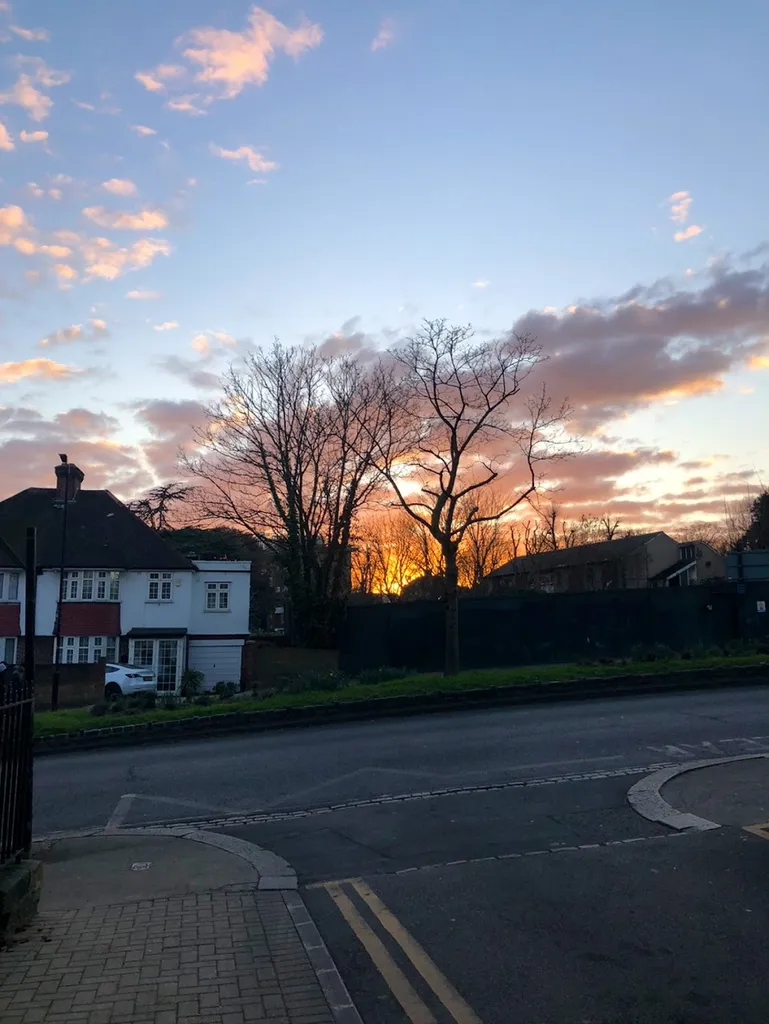 Champion Hill (Stop F)