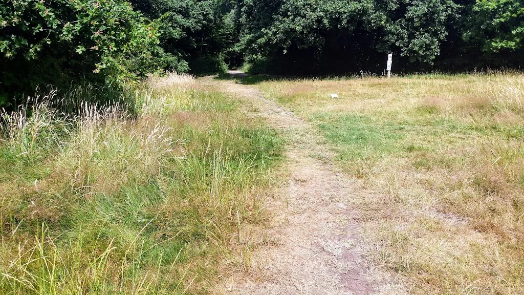 Chelmsford Road (Stop P)