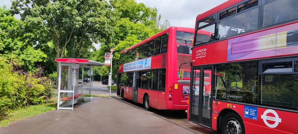 Chessington World Of Adventures